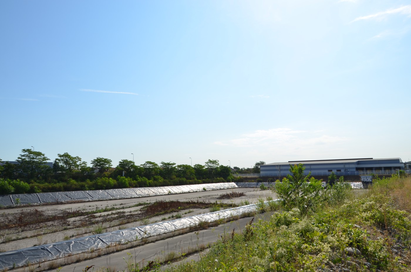 Bassin de Django Reinhardt